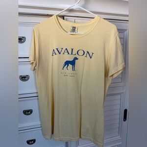 Avalon Yellow and Blue  Silhouette T-Shirt